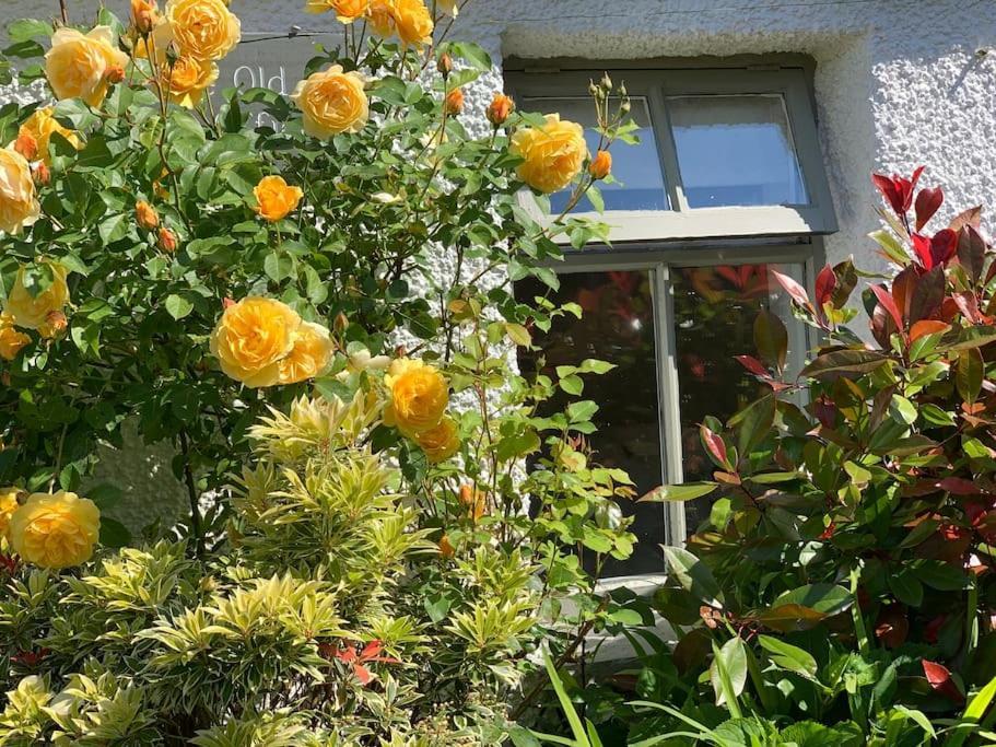 The Old Post Office, Cosy Grade II Listed 2 Bed Apartment Windermere Dış mekan fotoğraf